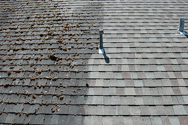 Roof moss removal in Bellingham, WA by Spotless Heights
